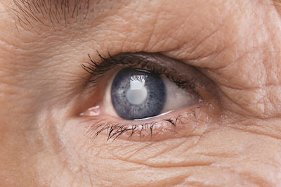 Evanston Eyecare | Low Vision, Vision Exams for Adults and Glaucoma Management